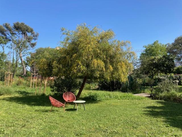 Un Jardin Dans La Ville La Ciotat Kültér fotó